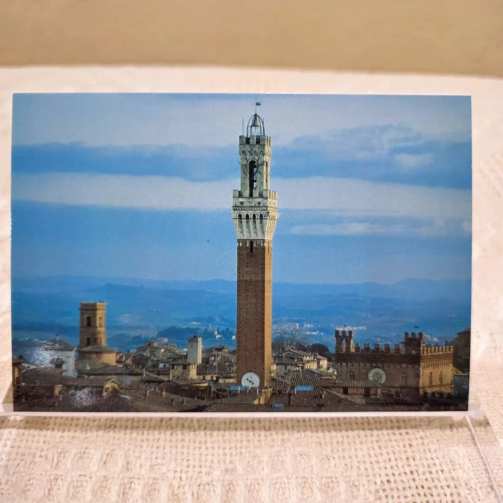 Vintage Veduta di Siena Basilica Domenico Federico Muzzi Italy Italian Postcard